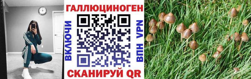 Купить где  Меленки  Галлюциногенные грибы прущие грибы 